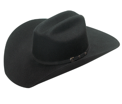 The Santa Fe Cowboy Style Hat